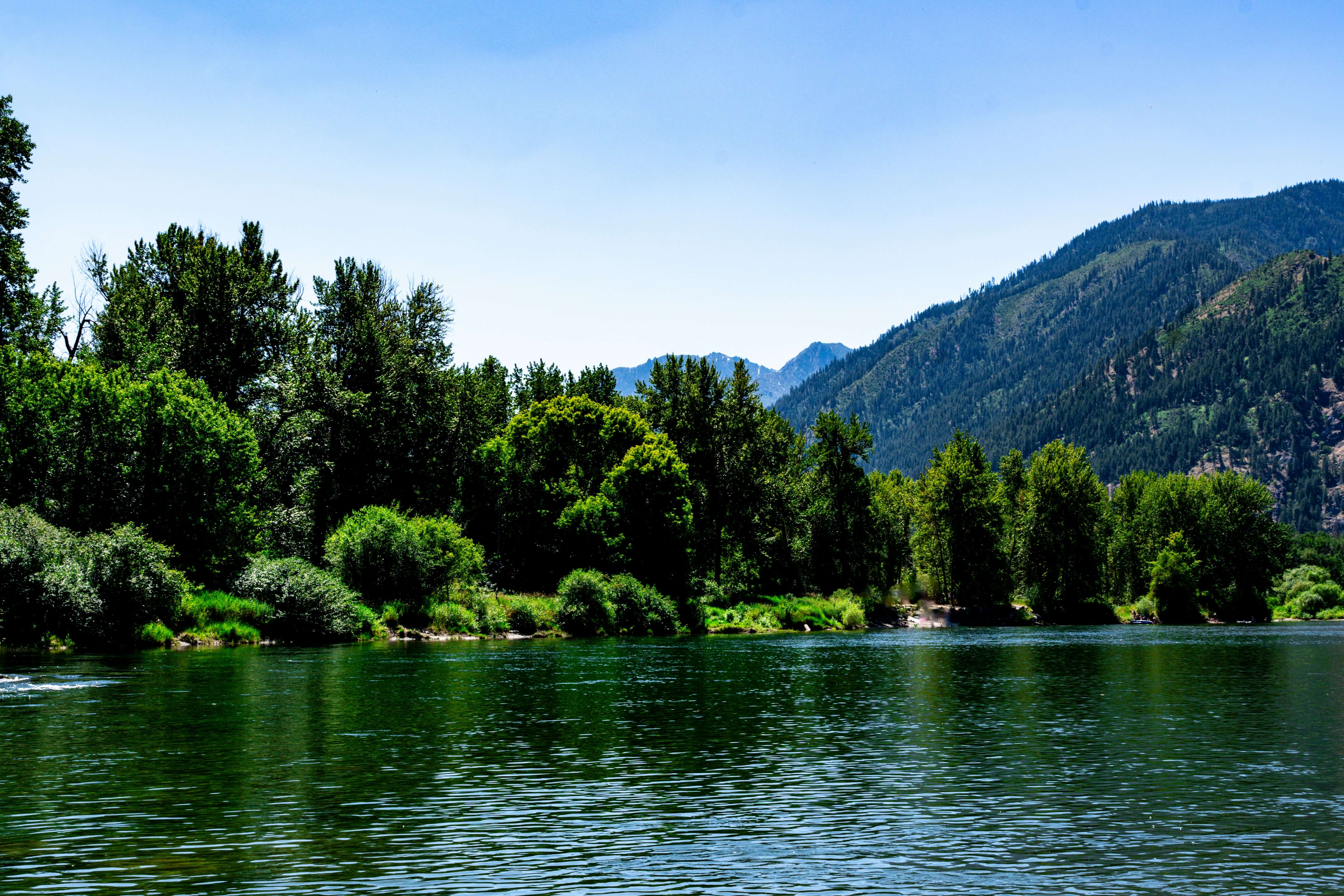 Nature